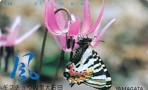 ●蝶 ギフチョウの里大石田テレカ