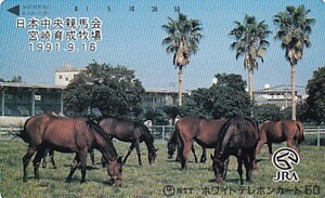 ●JRA 日本中央競馬会宮崎育成牧場テレカ