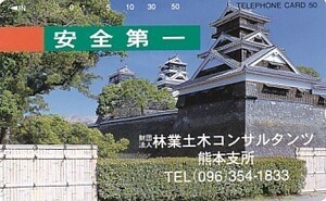 ●熊本城 林業土木コンサルタンツテレカ