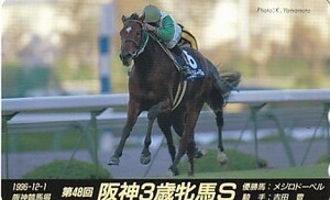 〆メジロドーベル 第48回阪神3歳牝馬Sテレカ