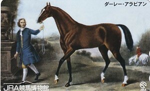 ●JRA競馬博物館 ダーレーアラビアンテレカ