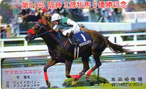 ●ヤマカツスズラン 第51回阪神3歳牝馬Sテレカ