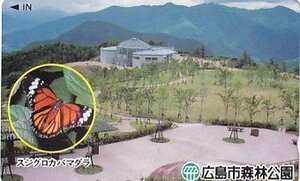 ●蝶 スジグロカバマダラ 広島市森林公園テレカ