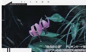 ●ふるさと柏 カタクリの花テレカ