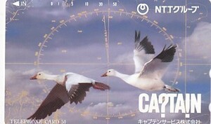 〆白鳥 NTTグループ CAPTAINテレカ