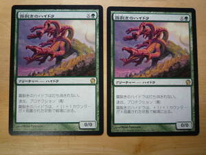 MTG　THS　霧裂きのハイドラ/Mistcutter Hydra　日本語　2枚