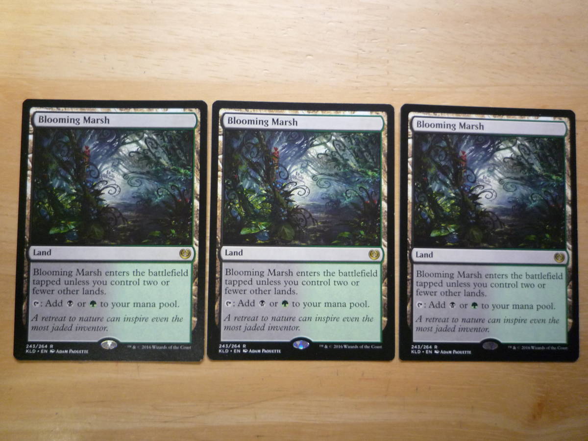 人気の贈り物が Mtg Kld 花盛りの湿地 4枚セット 即決 Foil 英語版 土地 人気の贈り物が Mtg Kld 花盛りの湿地 4枚セット 即決 Foil 英語版 土地