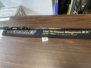 ヤフオク アクテオンマグナム スポーツ レジャー の落札相場 落札価格 ヤフオク アクテオンマグナム スポーツ レジャー の落札相場 落札価格