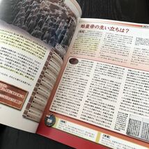 キ65 歴史のミステリー29 2008年発行 戦争 戦後 遺跡 社会 内戦 真相 疑惑 世界 日本 斎藤道三 始皇帝 オーロラ メサベルデ ゴッホ_画像8