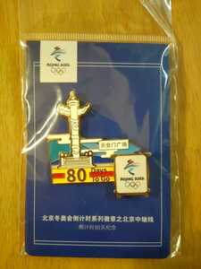 北京オリンピック 2022 ピンバッジ ピンバッチ 天安門広場 カーリング フィギュアスケート ロコ・ソラーレ 平野歩夢 パラリンピック
