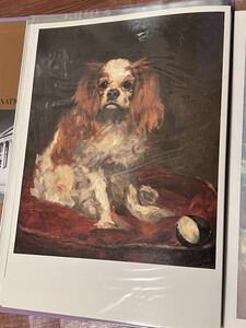 Art hand Auction ◆エドゥアール･マネ キング･チャールズ･スパニエル犬 印刷画 ◆A-2496, 美術品, 絵画, その他