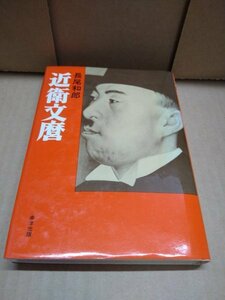 近衛文麿 長尾和郎（著） 幸洋出版 1979年初版発行 東条英機/日米戦争