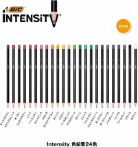 送料無料メール便 色鉛筆 Intensity 24色 Bicジャパン ITS-WDCCPPK24/1325ｘ１個_画像8