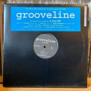 レア　プロモ盤　grooveline 和モノ　R&B DJ Mitsu the beats remix 12inch レコード