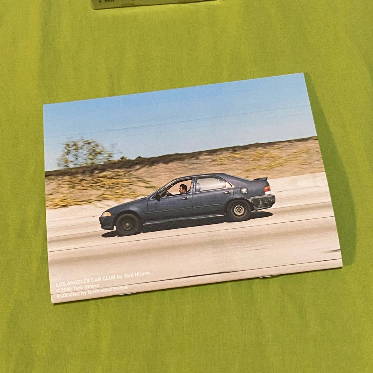 平野太呂 / LOS ANGELES CAR CLUB animalrecord.net