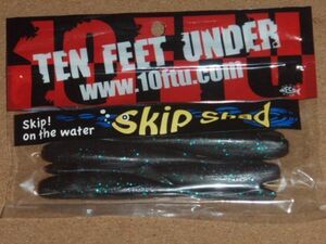 TEN FEET UNDER 10TFU　テンフィートアンダー　Skip Shad 4.8インチ　スキップシャッド 4.8インチ　#05 ジュンバグ