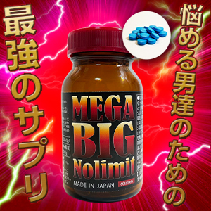 MEGA BIG Nolimit(メガビッグノーリミット)2024.06～男性用サポートサプリメント～