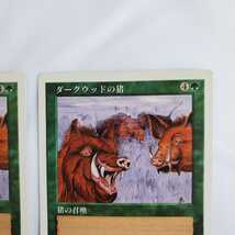 ○★MTG★ダークウッドの猪★2枚★マジック・ザ・ギャザリング★基本セット第5版★1997年★保管品★_画像5