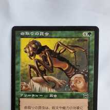 ○★MTG★命取りの昆虫★3枚★マジック・ザ・ギャザリング★メルカディアン・マスクス★1999年★保管品★_画像3