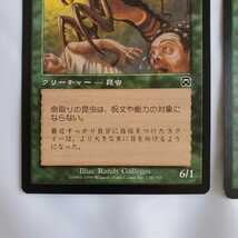 ○★MTG★命取りの昆虫★3枚★マジック・ザ・ギャザリング★メルカディアン・マスクス★1999年★保管品★_画像6