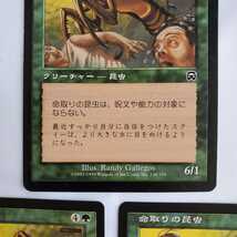 ○★MTG★命取りの昆虫★3枚★マジック・ザ・ギャザリング★メルカディアン・マスクス★1999年★保管品★_画像4