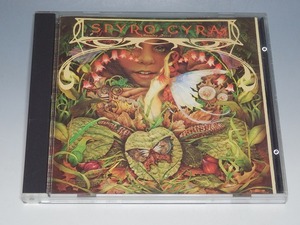 SPYRO GYRA スパイロ・ジャイラ MORNING DANCE モーニング・ダンス 輸入盤CD MCAD-37148 国内プレス