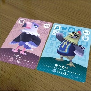 シオン キンカク