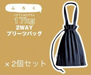 【nicola ニコラ 2022年2月号付録】17kg 2WAY プリーツバッグ（未開封品×2個セット）