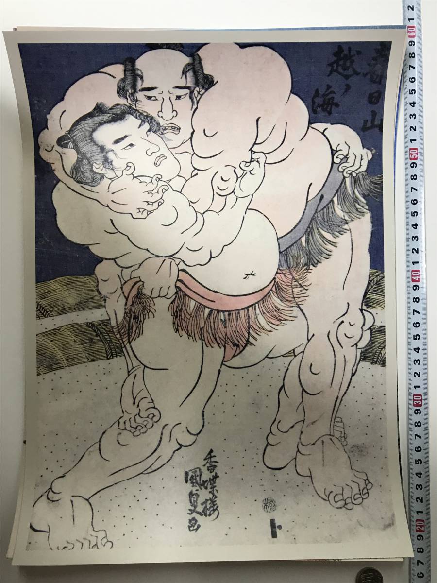 格安スタート! 相撲 力士 浮世絵 ポスター 40×30.8㎝ 0164, 絵画, 浮世絵, 版画, その他