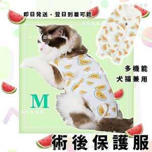  new arrival cat dog . after clothes wear .... hand . male female e leather . scalar watermelon M watermelon pattern 