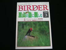 ◆BIRDER/バーダー 1998/3◆里山の鳥に親しむ_画像1
