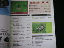 ◆BIRDER/バーダー 1998/3◆里山の鳥に親しむ_画像2