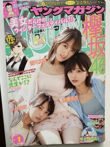 週刊ヤングマガジン 2020年no.1 櫻坂46 渡邉理佐　小林由依　菅井友香　MFGエンジェル　林ゆめ　櫻坂46 欅坂46