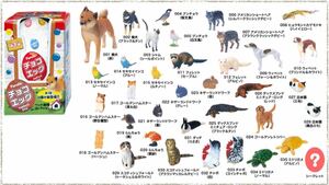 チョコエッグ フルタ ペット動物第1弾 フルコンプ 35種類+シークレット　レア　フィギュア　芝犬　黒柴　ハムスター　猫　インコ