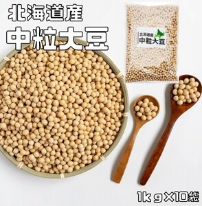 まめやの底力 北海道産　中粒大豆 10kg（1ｋｇ×10袋）　　【大豆 だいず　国産　業務用　リニューアル】