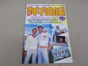 輝け甲子園の星　1991年11+12月号　第103号