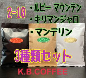 2-10 飲み比べ 自家焙煎 珈琲豆 3種セット(各100g)