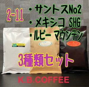 2-11 飲み比べ 自家焙煎 珈琲豆 3種セット(各100g)