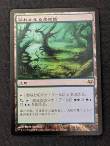 MTG EVE 日本語版 溢れかえる果樹園/Flooded Grove