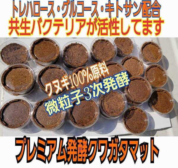 孵化したクワガタ幼虫の個別管理に!プリンカップ入りプレミアム3次発酵マット【20セット】トレハロース・ローヤルゼリー配合で大きくなる