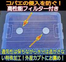 特大ケース付き☆プレミアム発酵マット20L入り☆カブトムシ幼虫を入れるだけ！便利！大型成虫羽化できます！コバエ防止特殊フィルター付き_画像5