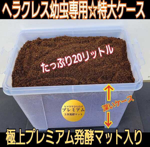特大ケース付き☆プレミアム発酵マット20L入り☆カブトムシ幼虫を入れるだけ!便利!大型成虫羽化できます!コバエ防止特殊フィルター付き