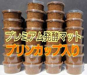 [30 cup set ] stag beetle the first . larva. individual control . convenience! pudding cup entering premium 3 next departure . mat * the smallest particle . good meal ..! special amino acid combination 