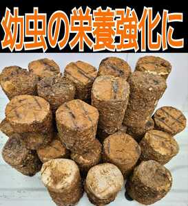 送料無料！カブト幼虫の栄養強化に！大量！椎茸廃菌床25ブロック☆発酵マットに埋め込むとモリモリ食べます！クワガタ幼虫の餌、産卵木にも