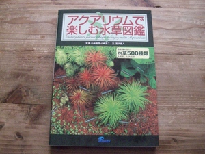 ヤフオク 熱帯魚 水草 図鑑の中古品 新品 未使用品一覧 ヤフオク 熱帯魚 水草 図鑑の中古品 新品 未使用品一覧