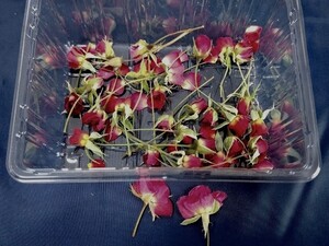 【花材ミニバラ】 レジン ハンドメイド用 ドライフラワー ミニバラ 薔薇 ミニミニ 花弁 押し花 セット 20輪