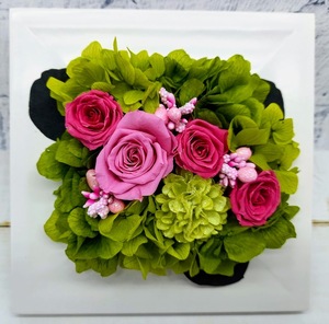 * great special price! price cut! last 1 piece! preserved flower frame arrange square rose pink 2 cellophane wrapping gift .*
