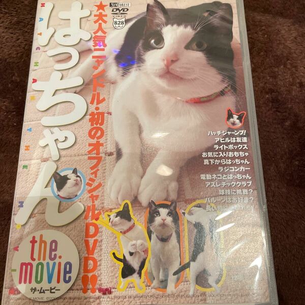 はっちゃん the movie 猫　ねこ　ネコ