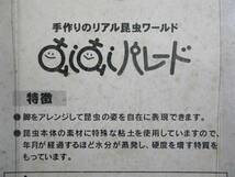 オオクワガタ オス 手作りのリアル昆虫ワールド むしむしパレード フィギュア リキミ シーエヌプロ クワガタ クワガタムシ リアル_画像3