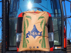 新米 農家直送　令和3年産　北海道　安田農場産　一等米 ななつぼし25kg玄米